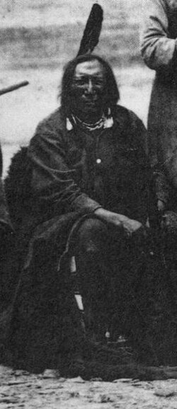 Naso Aquilino (Naso Romano, Roman Nose)