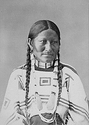 Moglie di Coda Chiazzata